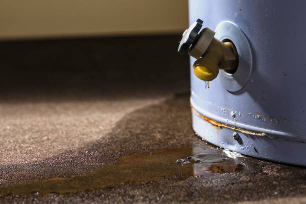 Best Water damage contractors near me  in Mount Hope, NJ