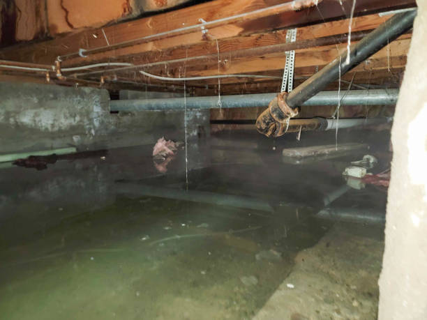 Best Flood restoration services  in Mount Hope, NJ