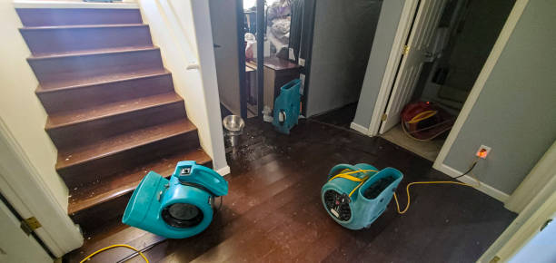 Best Commercial water damage restoration  in Mount Hope, NJ