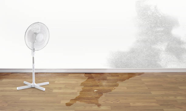 Best Basement water damage restoration  in Mount Hope, NJ