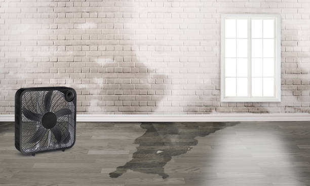  Mount Hope, NJ Water damage restoration Pros