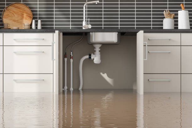 Best Flood restoration services  in Mount Hope, NJ